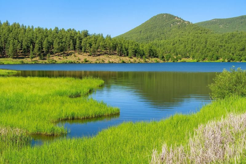 Best Shower Remodeling pros in Evergreen, CO